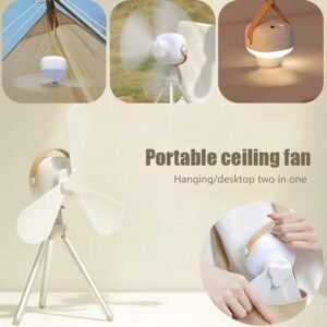 ekd 0222 2 in 1 desktop ceiling fan